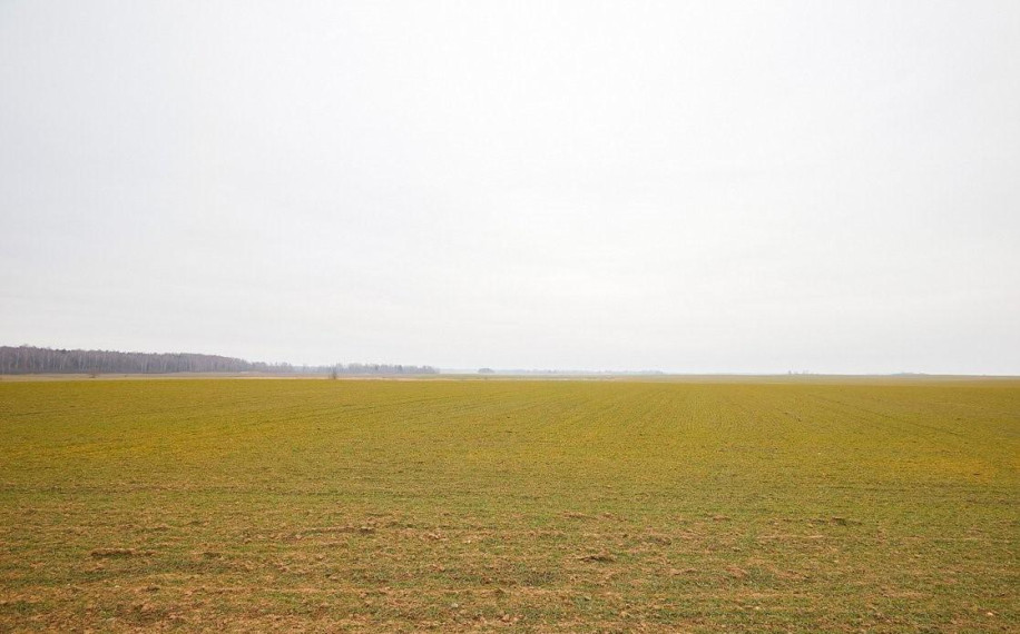 Parduodamas sklypas Vaiškonių k., Jonavos r. sav., 520 a ploto 7