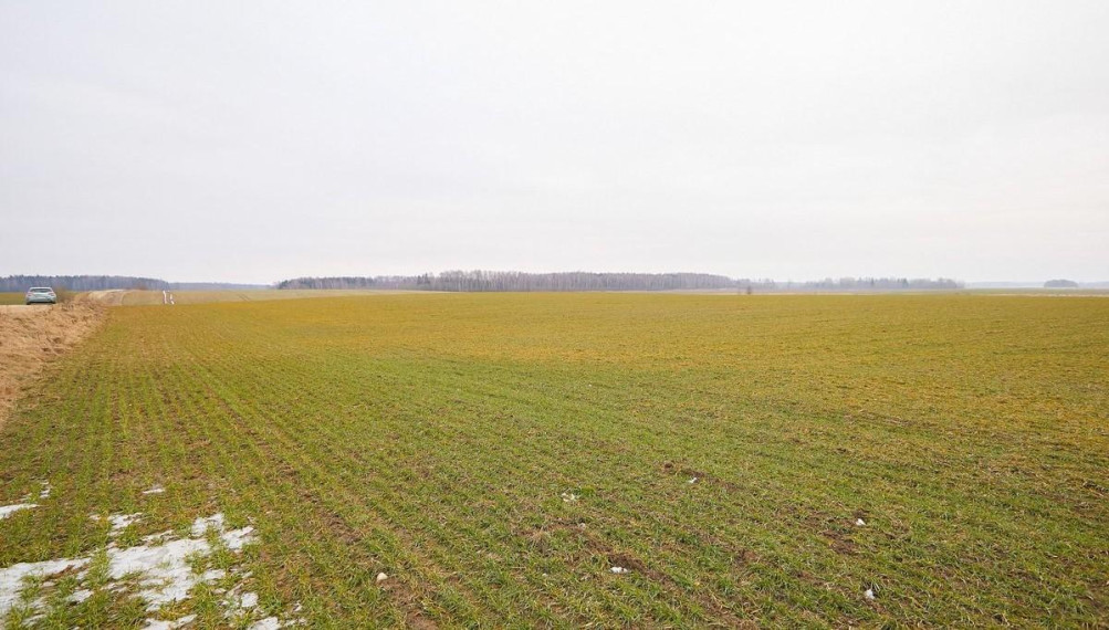 Parduodamas sklypas Vaiškonių k., Jonavos r. sav., 520 a ploto 8