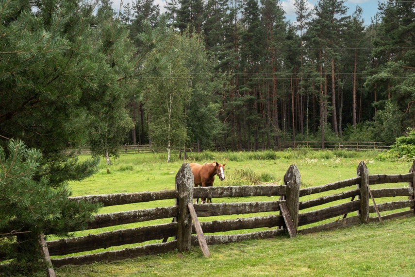 Parduodamas namas Leipalingio pl., Kaziulių k., Druskininkų sav., 300 m2 ploto, 2 aukštai 37