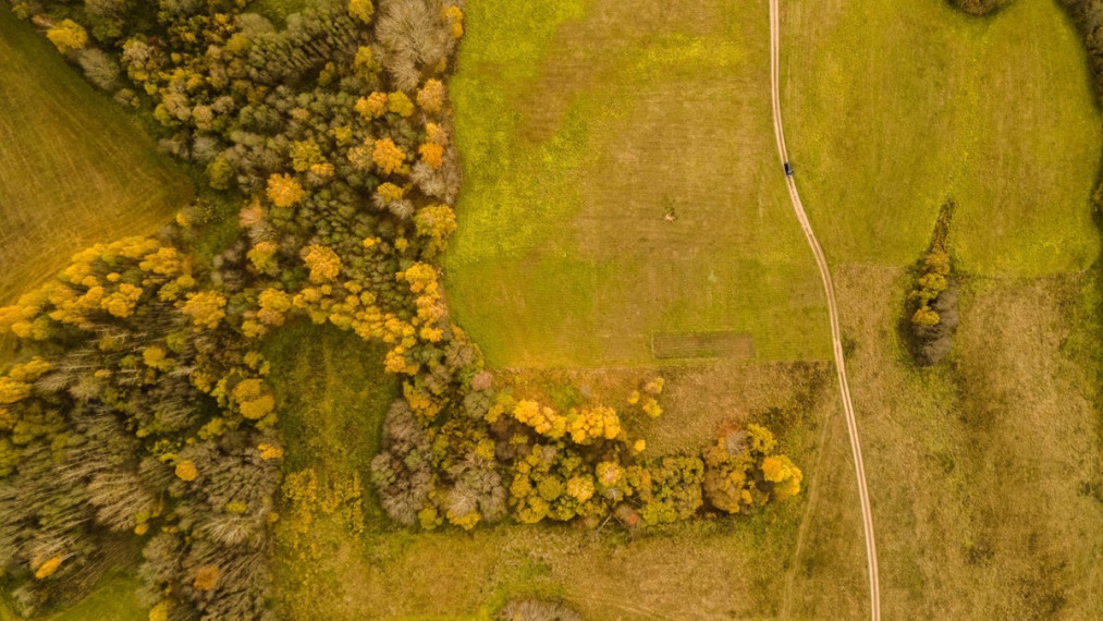Parduodamas  sklypas Dubingių k., Molėtų r. sav., 80 a ploto 8