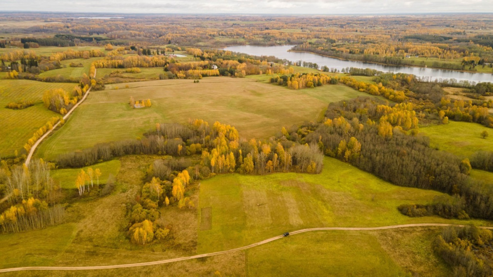 Parduodamas  sklypas Dubingių k., Molėtų r. sav., 80 a ploto 12