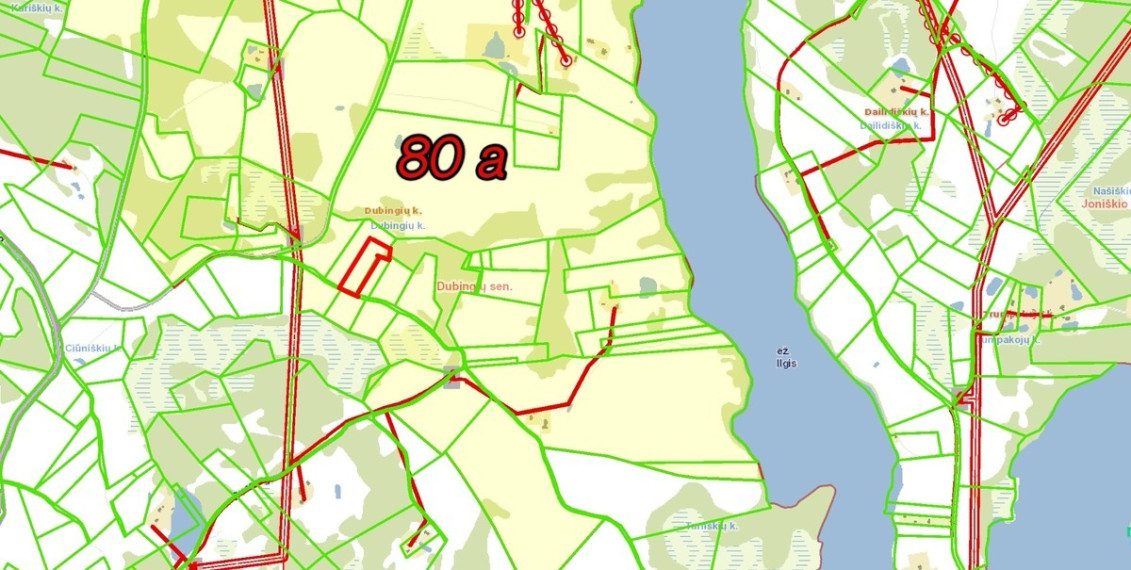 Parduodamas  sklypas Dubingių k., Molėtų r. sav., 80 a ploto 14