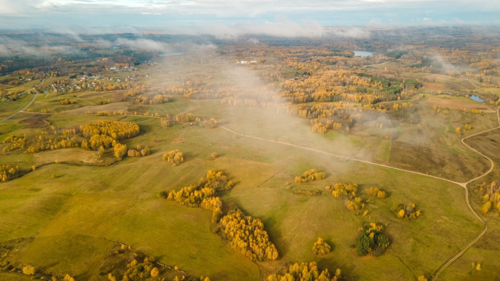 Parduodamas  sklypas Turliškių k., Molėtų r. sav., 185 a ploto 6