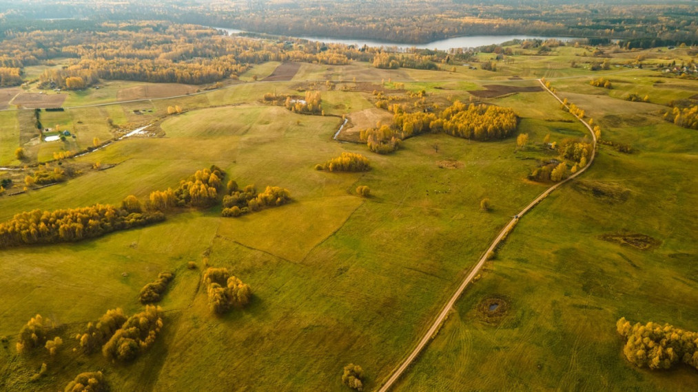 Parduodamas  sklypas Turliškių k., Molėtų r. sav., 185 a ploto 9