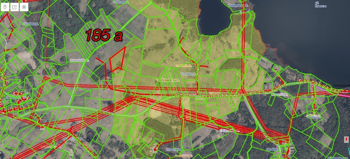 Parduodamas  sklypas Turliškių k., Molėtų r. sav., 185 a ploto 12