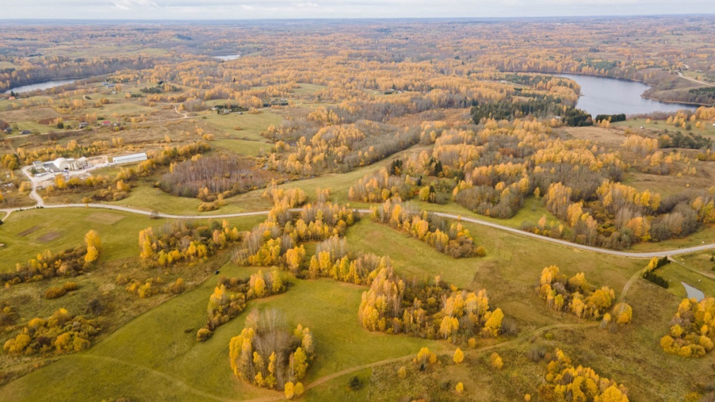Parduodamas  sklypas Ciūniškių k., Molėtų r. sav., 65 a ploto 11