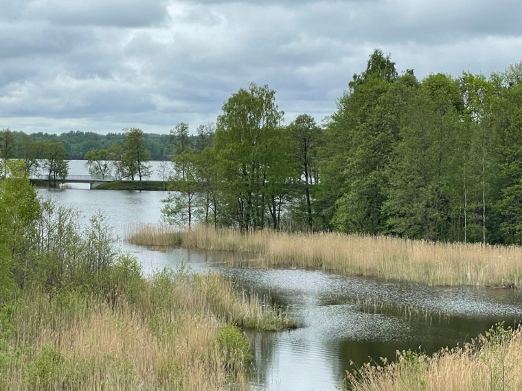 Parduodamas namas Šaltupės skg., Zarasų m., Zarasų r. sav., 225.42 m2 ploto, 2 aukštai 26