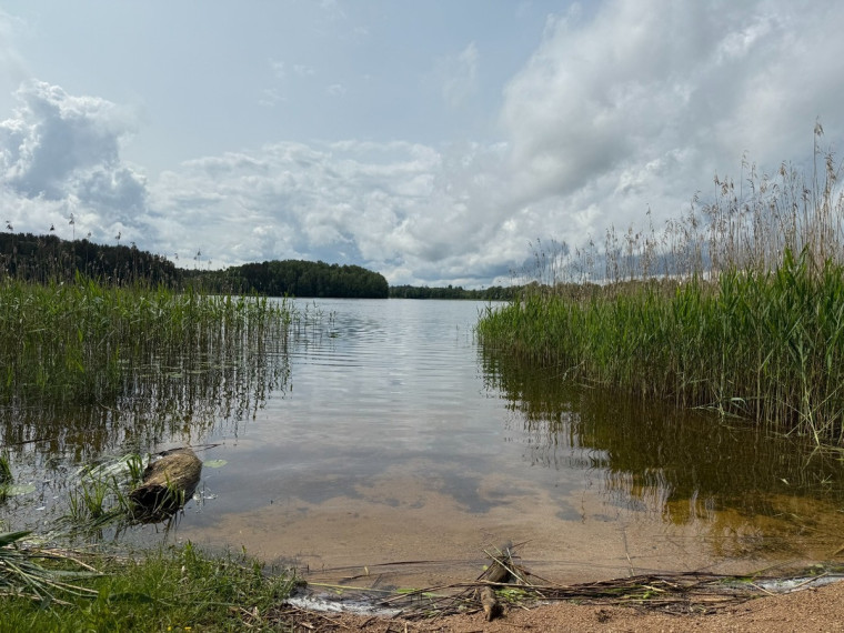 Parduodamas namas Šaltupės skg., Zarasų m., Zarasų r. sav., 225.42 m2 ploto, 2 aukštai 27
