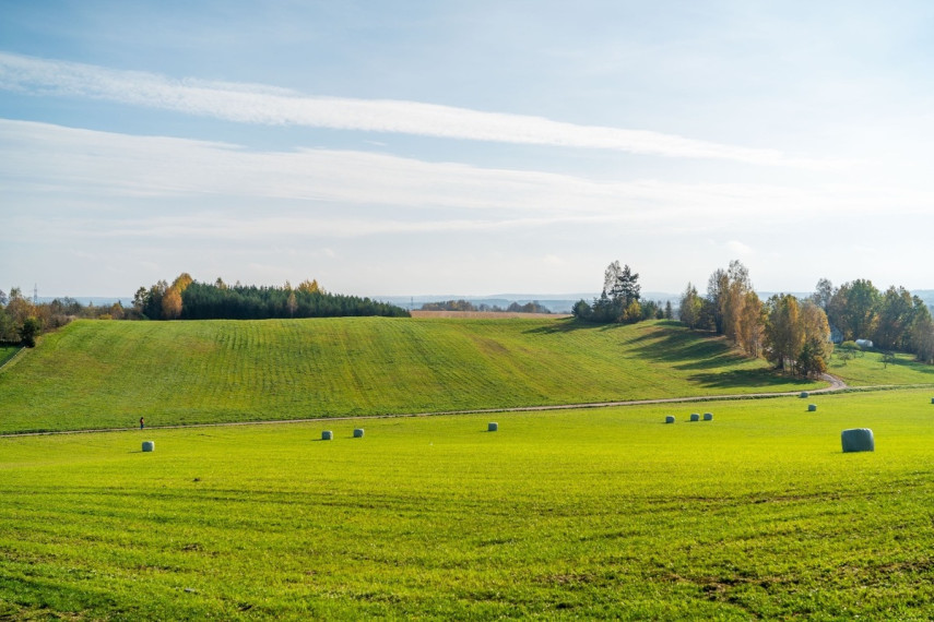 Parduodamas namas Slėnio g., Mykoliškių k., Vilniaus r. sav., 165 m2 ploto, 1 aukštai 25