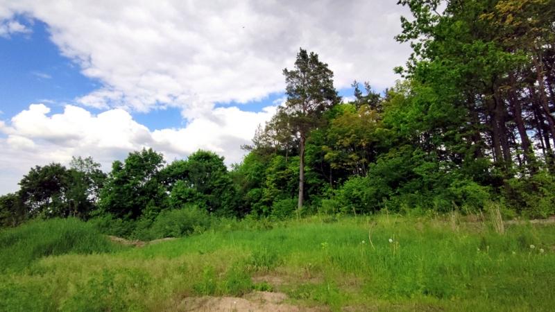 Parduodamas sklypas Versmės g., Kluoniškių k., Kauno r. sav., 292.21 a ploto 11