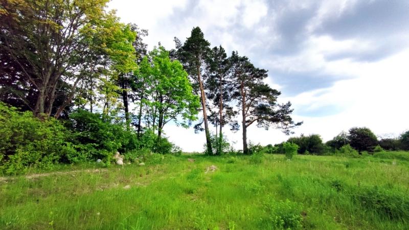 Parduodamas sklypas Versmės g., Kluoniškių k., Kauno r. sav., 292.21 a ploto 7
