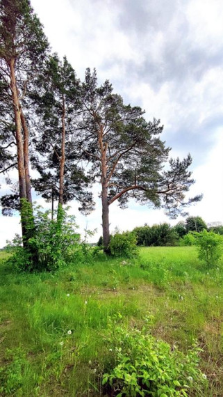 Parduodamas sklypas Versmės g., Kluoniškių k., Kauno r. sav., 292.21 a ploto 8