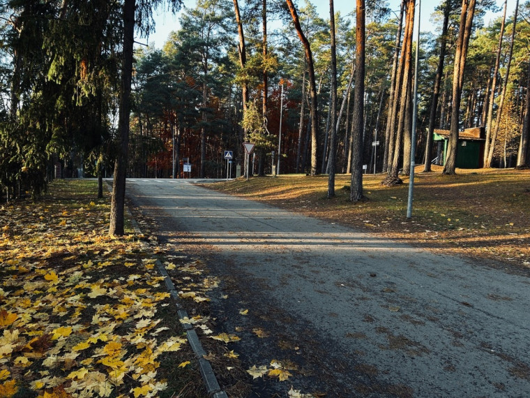 Parduodamas namas Pušyno g., Kulautuvos mstl., Kauno r. sav., 44.52 m2 ploto, 1 aukštai 11