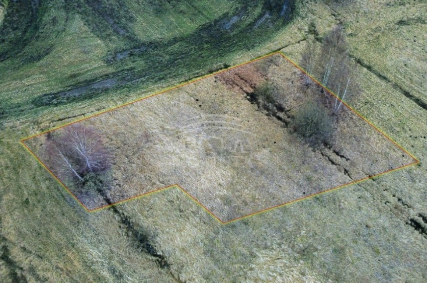 Parduodamas  sklypas Dovilų mstl., Klaipėdos r. sav., 10 a ploto 3