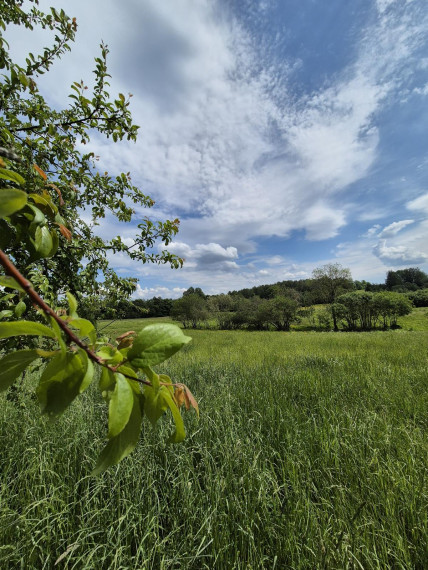 Parduodamas sklypas Tilto g., Truikių k., Plungės r. sav., 77 a ploto 3