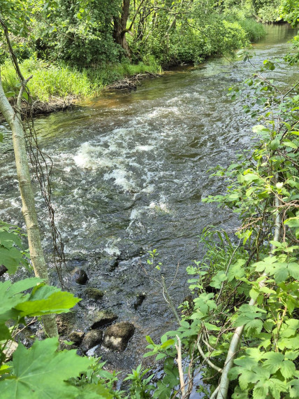 Parduodamas sklypas Tilto g., Truikių k., Plungės r. sav., 77 a ploto 7