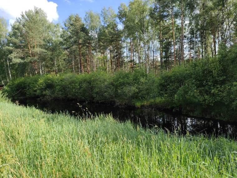 Parduodamas namas Antatiškių k., Molėtų r. sav., 35.00 m² ploto 2 kambariai 11