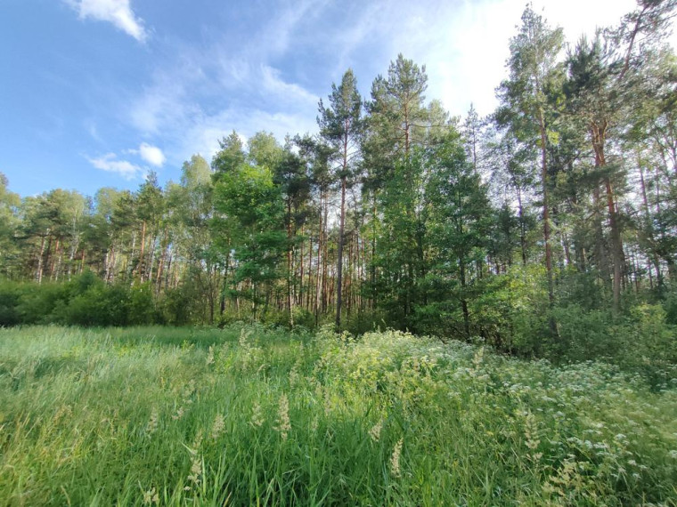 Parduodamas namas Antatiškių k., Molėtų r. sav., 35.00 m² ploto 2 kambariai 14