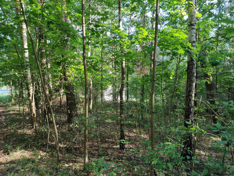 Parduodamas namas Antatiškių k., Molėtų r. sav., 35.00 m² ploto 2 kambariai 16