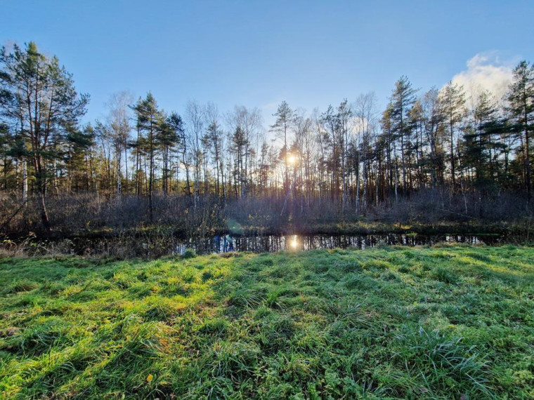 Parduodamas namas Antatiškių k., Molėtų r. sav., 35.00 m² ploto 2 kambariai 6