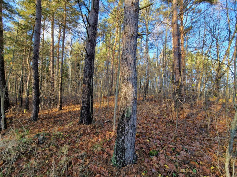 Parduodamas namas Antatiškių k., Molėtų r. sav., 35.00 m² ploto 2 kambariai 8