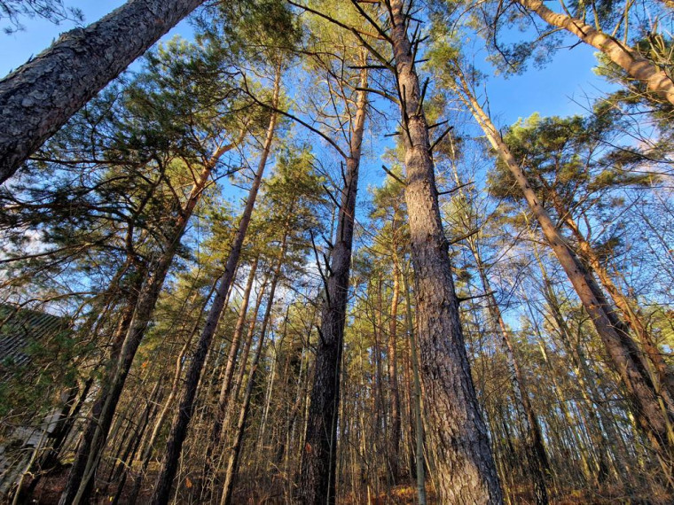 Parduodamas namas Antatiškių k., Molėtų r. sav., 35.00 m² ploto 2 kambariai 9