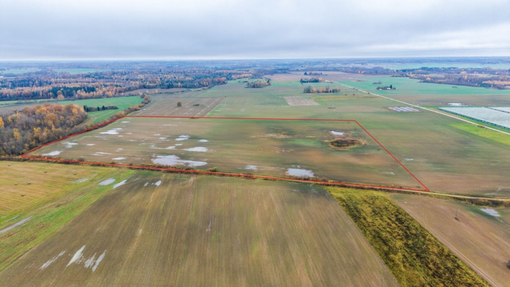 Parduodamas  sklypas Smailių k., Širvintų r. sav., 1299.57 a ploto 3