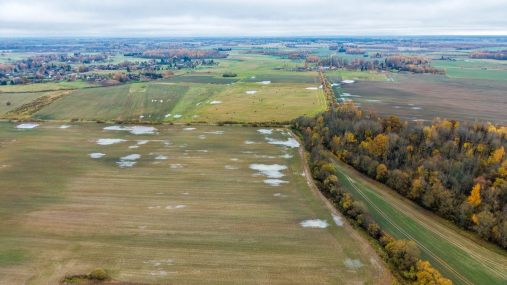 Parduodamas  sklypas Smailių k., Širvintų r. sav., 1299.57 a ploto 10