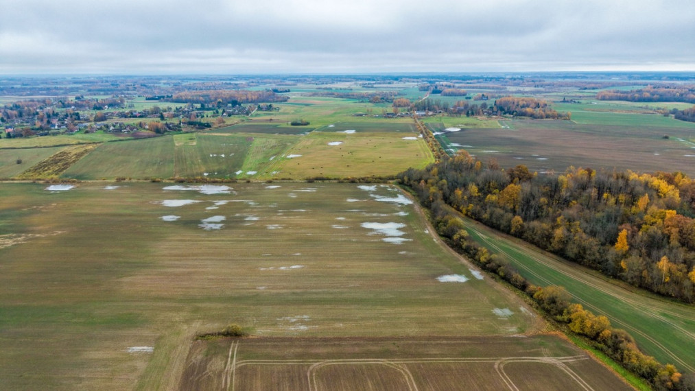 Parduodamas  sklypas Smailių k., Širvintų r. sav., 1299.57 a ploto 11