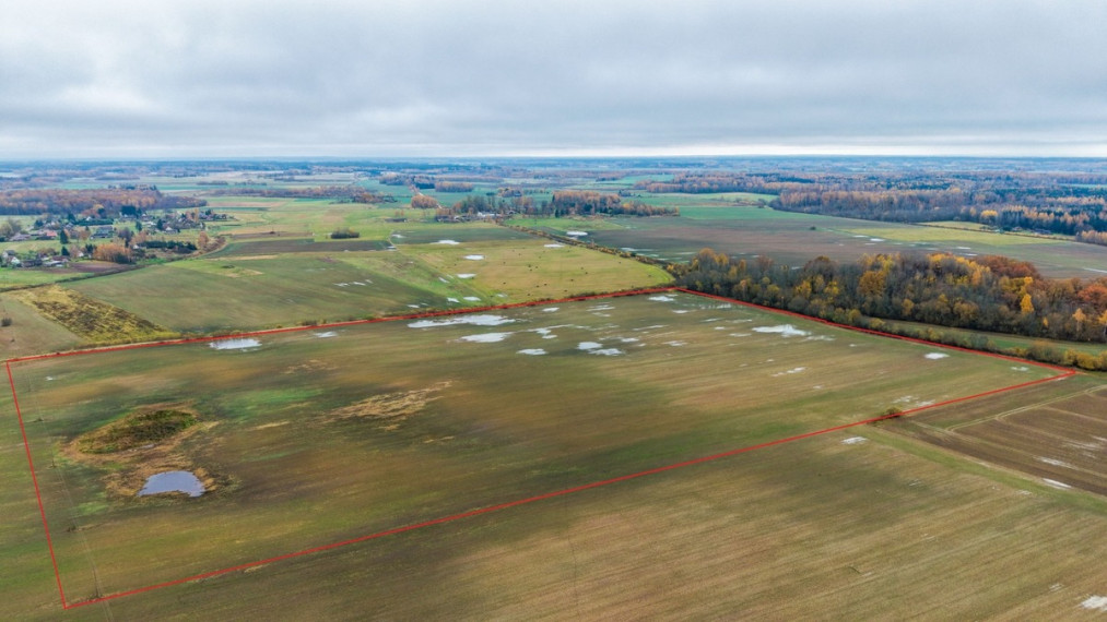 Parduodamas  sklypas Smailių k., Širvintų r. sav., 1299.57 a ploto 13