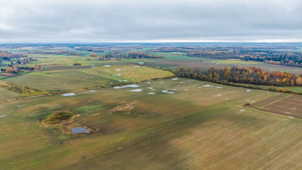 Parduodamas  sklypas Smailių k., Širvintų r. sav., 1299.57 a ploto 14