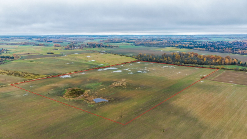 Parduodamas  sklypas Smailių k., Širvintų r. sav., 1299.57 a ploto 15
