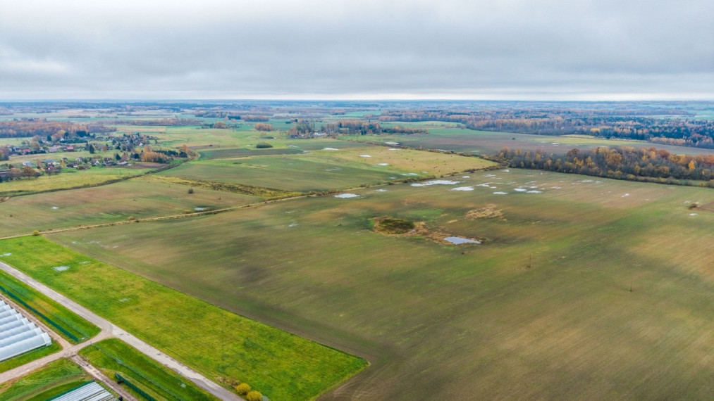 Parduodamas  sklypas Smailių k., Širvintų r. sav., 1299.57 a ploto 16
