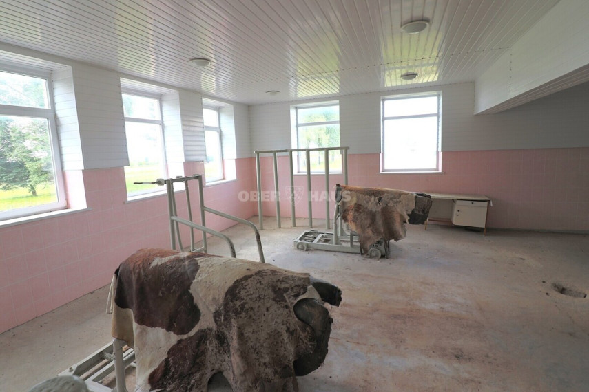 Parduodamos sandėliavimo patalpos Pušyno g., Šilagalio k., Panevėžio r. sav., 2000 m2 ploto 12
