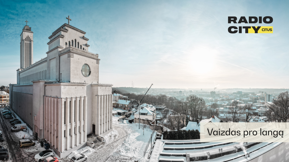 Parduodamas butas Žemaičių g., Žaliakalnis, Kauno m., Kauno m. sav., 33.92 m² ploto 2 kambariai 11
