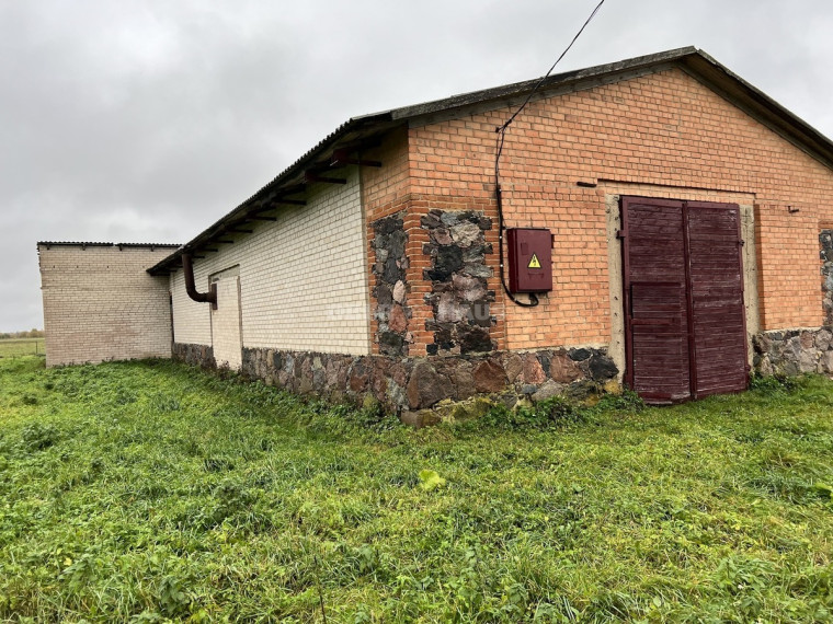 Nuomojamos gamybinės patalpos Pavašuokių g., Taruškų vs., Panevėžio r. sav., 401.81 m2 ploto 8