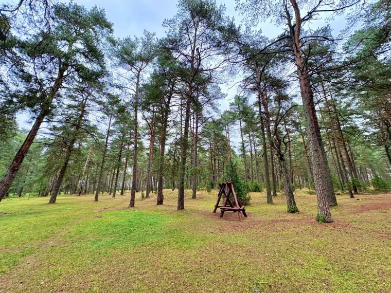 Parduodamas butas Neravų g., Druskininkų m., Druskininkų sav., 28.72 m2 ploto, 1 kambariai 3