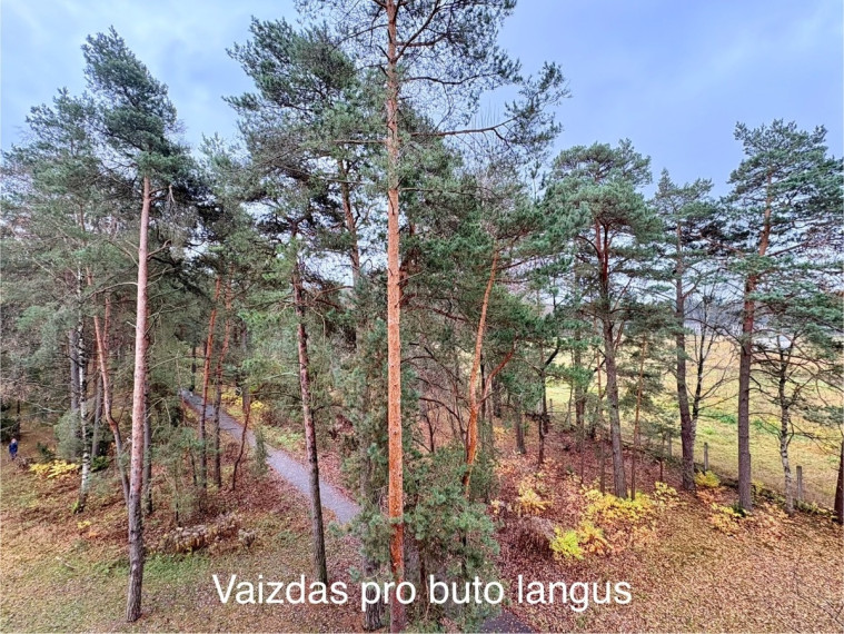 Parduodamas butas Neravų g., Druskininkų m., Druskininkų sav., 28.72 m2 ploto, 1 kambariai 4