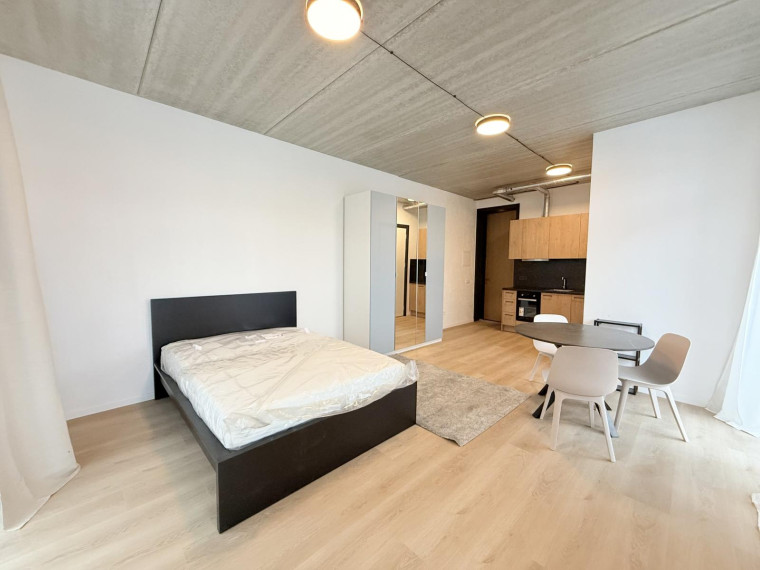 Nuomojamas butas Dūmų g., Naujoji Vilnia, Vilniaus m., Vilniaus m. sav., 30.54 m² ploto 1 kambarys 3