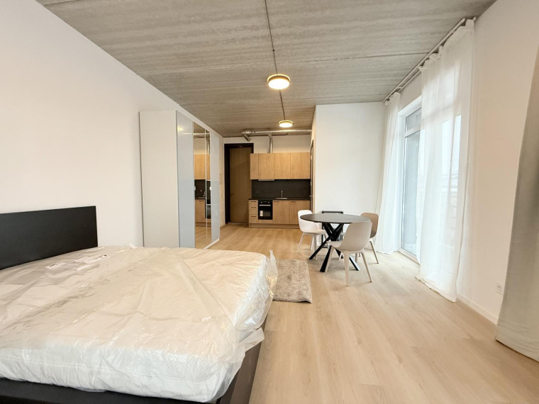 Nuomojamas butas Dūmų g., Naujoji Vilnia, Vilniaus m., Vilniaus m. sav., 30.54 m² ploto 1 kambarys 4