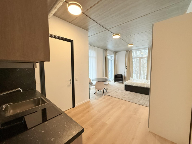 Nuomojamas butas Dūmų g., Naujoji Vilnia, Vilniaus m., Vilniaus m. sav., 30.54 m² ploto 1 kambarys 6