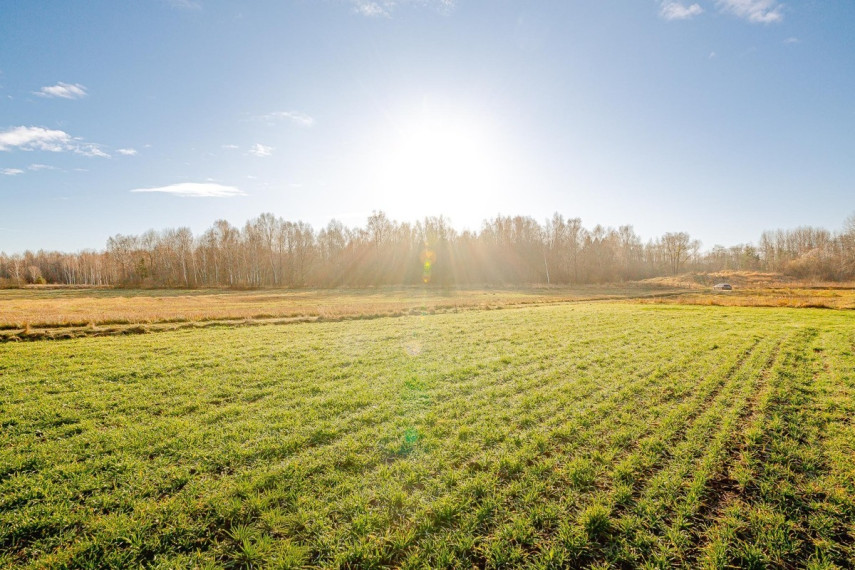 Parduodamas  sklypas Ryto g., Voveriškių k., Šiaulių r. sav., 22.31 a ploto 3