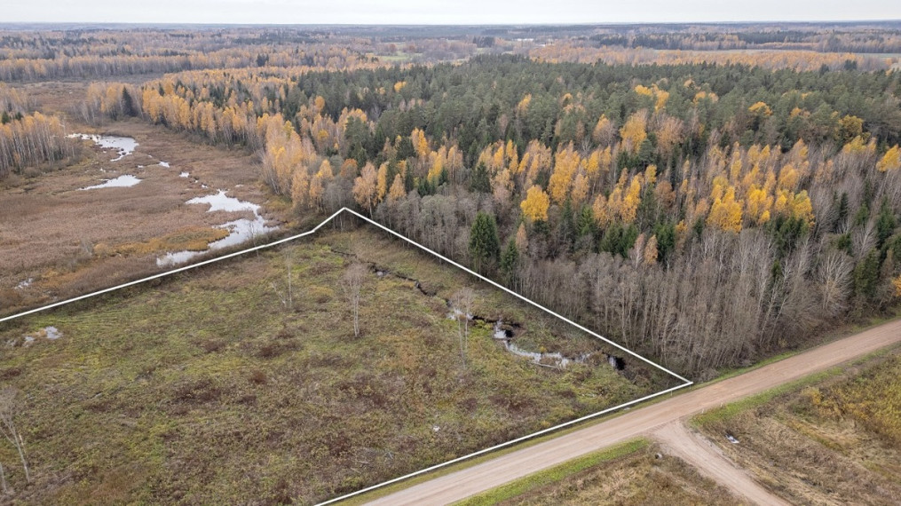 Parduodamas  sklypas Šalkiškių k., Širvintų r. sav., 311.57 a ploto 3