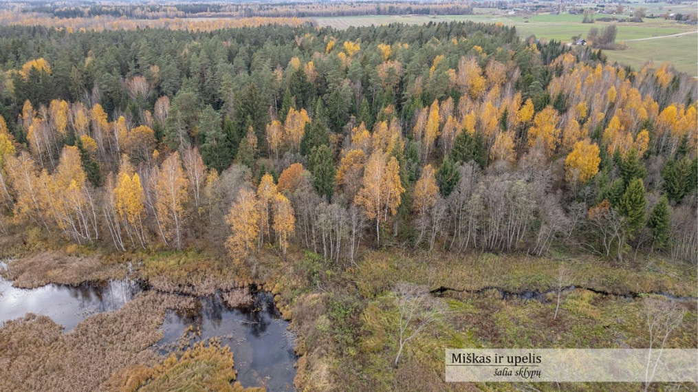 Parduodamas  sklypas Šalkiškių k., Širvintų r. sav., 311.57 a ploto 4