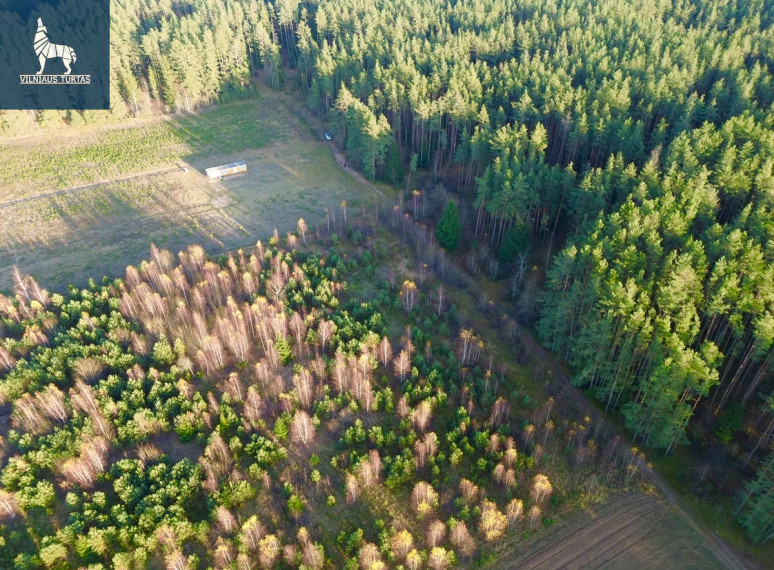 Parduodamas  sklypas Luknos g., Senojo Tarpupio k., Trakų r. sav., 25 a ploto 15