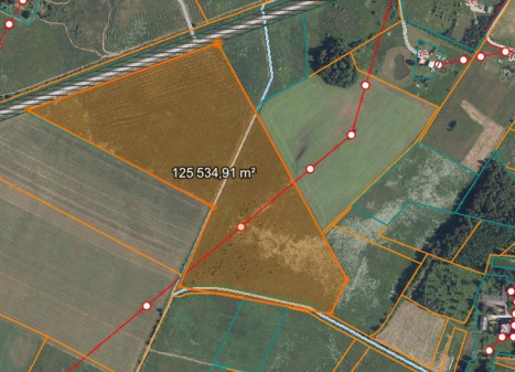 Parduodamas sklypas Pagrandžių k., Rokiškio r. sav., 1232.13 a ploto Parduodamas sklypas Pagrandžių k., Rokiškio r. sav., 1232.13 a ploto