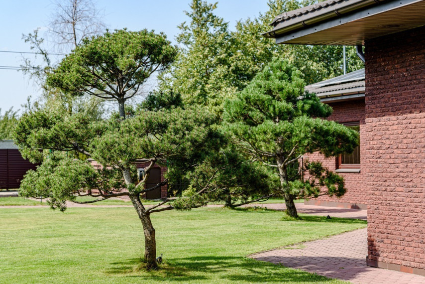 Parduodamas namas Erškėčių g., Vytėnai, Kauno m., Kauno m. sav., 466.54 m2 ploto, 1 aukštai 33
