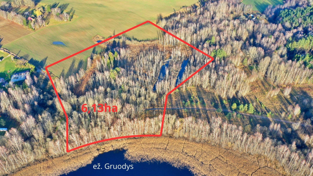 Parduodamas sklypas Ažuožerių k., Molėtų r. sav., 613 a ploto 2