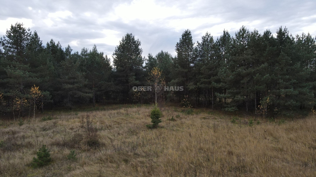Parduodamas namų valdos paskirties sklypas Gumbiškių k., Jonavos r. sav., 292 a ploto 12