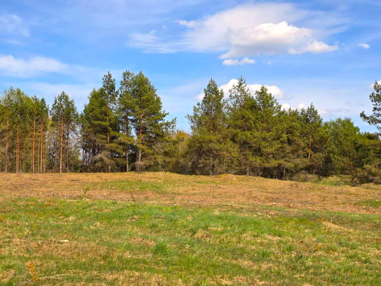 Parduodamas sklypas Aidiečių k., Molėtų r. sav., 65.00 a ploto 6